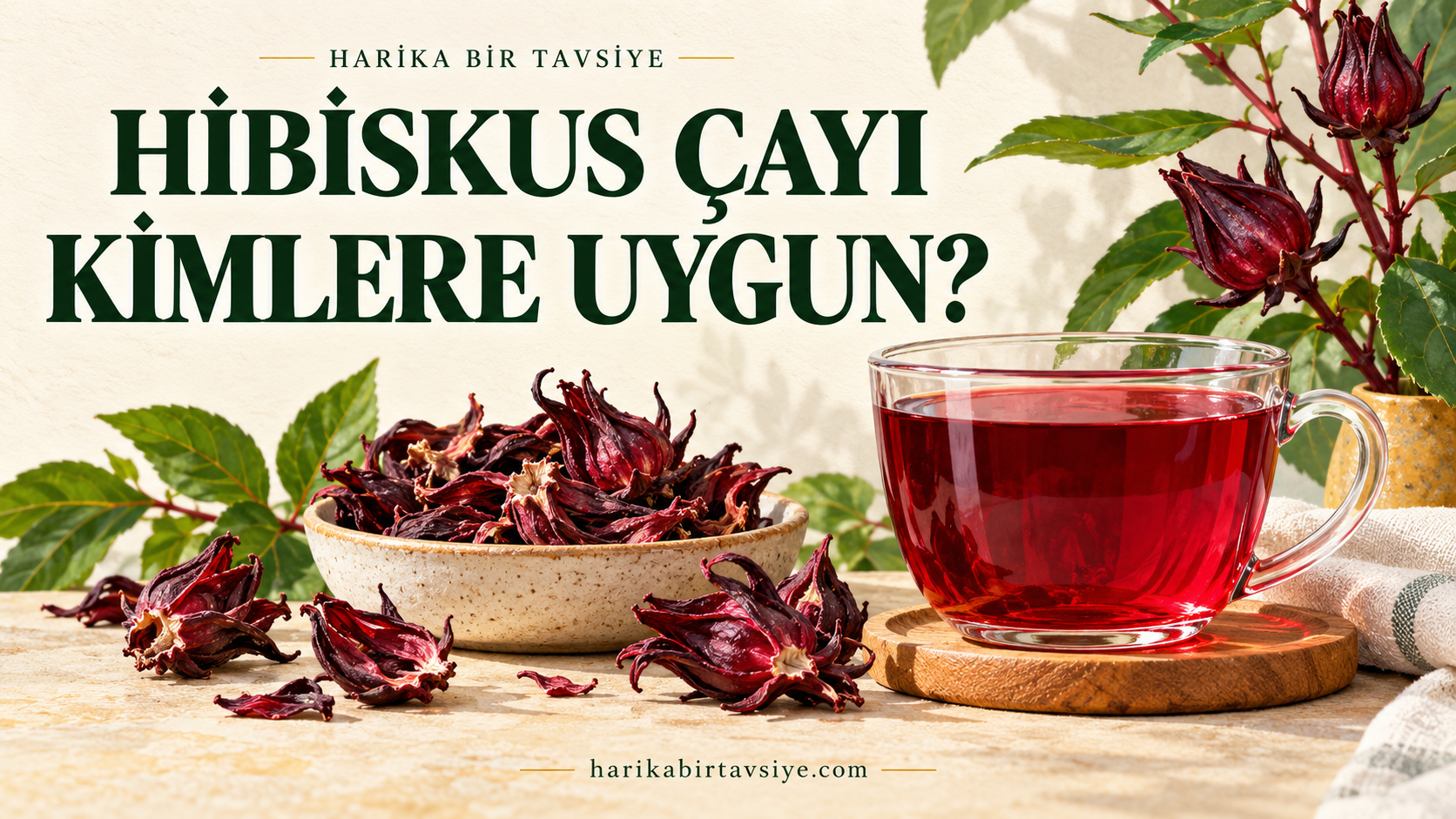 Hibiskus Çayı Tansiyonu Düşürür mü? Kimler Dikkat Etmeli?